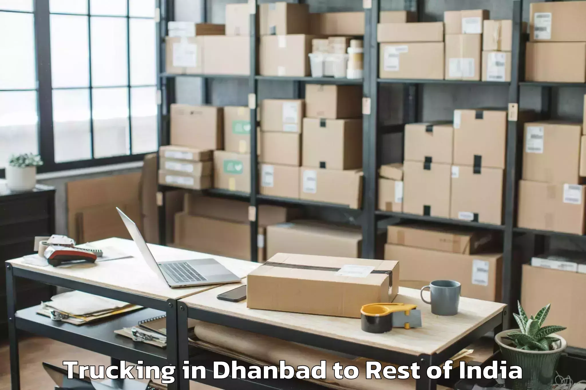 Easy Dhanbad to Sumbal Trucking Booking